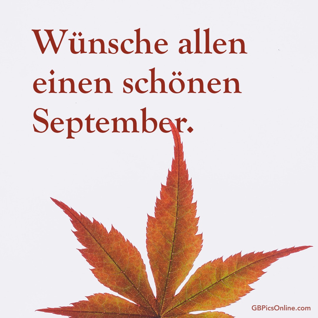Roter Herbstblatt und text: Wünsche allen einen schönen September
