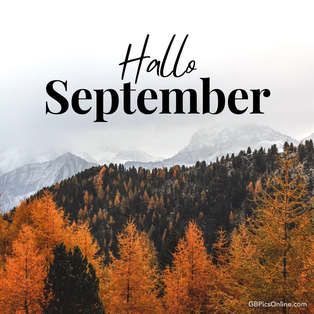 Herbstlandschaft mit Bergen, Bäumen und „Hallo September“ Schriftzug