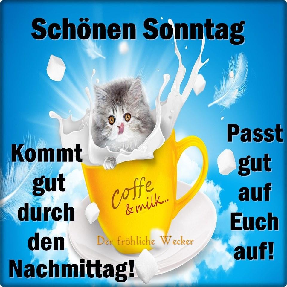 Schonen Sonntag Sonntag Bilder Und Spruche Fur Whatsapp Und