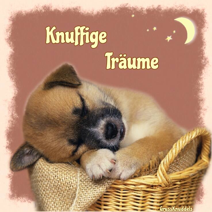 Knuffige Träume