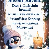 Ein kleiner Pinguin begrüßt dich warm zum Start der besinnlichen Adventszeit.