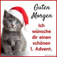 Graues Kätzchen mit Weihnachtsmütze neben Grußtext zum 1. Advent auf weißem Hintergrund