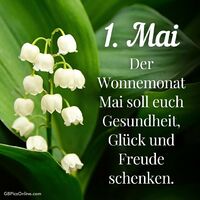 Frühlingsgefühle erwecken: Maiglöckchen im sanften Grün künden vom Beginn warmer Tage.