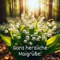 Morgensonne taucht das Maiglöckchenfeld in ein warmes Licht.