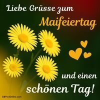 Frühlingsblumen leuchten auf, um den Mai zu begrüßen.