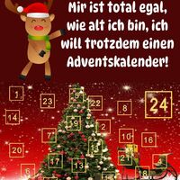 Weihnachtliche Vorfreude mit einem charmanten Adventskalender und festlich geschmücktem Baum. 