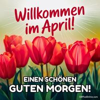 Leuchtende Tulpen begrüßen den Frühling, ein Fest der Farben und des Neubeginns.