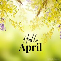 Ein frischer Frühlingsgruß: Willkommen, April voller Blütenpracht!