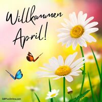 Fröhliche Gänseblümchen und tanzende Schmetterlinge begrüßen den Frühling!