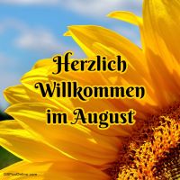 Eine strahlende Sonnenblume beleuchtet den Sommer mit ihrem leuchtenden Gelb.