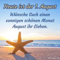 Ein Seestern begrüßt den Tag am ruhigen Meereshorizont.