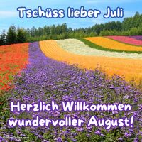 Ein Meer aus Farben: Bunte Blumenfelder kündigen den Sommeranfang an.