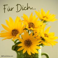 Ein Strahl sonniger Blumen, um deinen Tag zu erhellen.