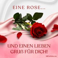 Eine rote Rose auf einem fließenden rosa Tuch, ein Symbol der Liebe und Wertschätzung.