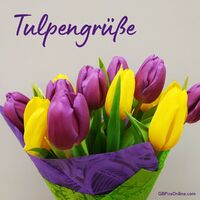 Ein Strauß leuchtender Tulpen bringt Farbe und Freude in jeden Raum.