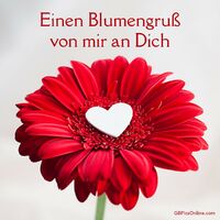 Ein Herz, umgeben von der Schönheit der Natur, drückt stille Zuneigung aus.