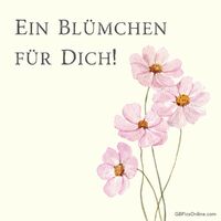 Rosen sind rot, diese Blumen sind Rosa – ein kleiner Blumengruß, nur für dich.