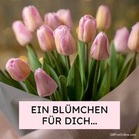 Frühlingsgruß mit zarten Tulpen, um den Tag zu verschönern.