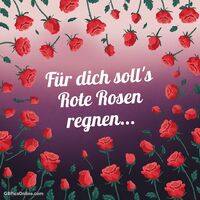 Ein Rosenregen als Zeichen meiner Zuneigung.