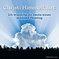 Strahlende Sonnenstrahlen durchbrechen die Wolken über einem ruhigen Wald - ein Moment der Stille und Erhabenheit.