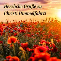 Sonnenuntergang über einem Meer aus Mohnblumen, ein perfektes Fest der Natur.