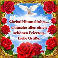 Weiße Taube vor Himmel, umrahmt von roten Rosen und goldenem Rahmen, mit Gruß zu Christi Himmelfahrt