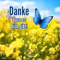 Ein strahlend blauer Schmetterling schwebt über einem Meer aus gelben Blüten, ein Bild reiner Freude und Naturschönheit.