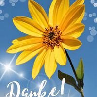 Eine strahlende Blume unter einem klaren blauen Himmel, die die Wärme und Schönheit der Natur einfängt.