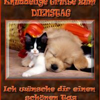 Knuddelige Grüße...
