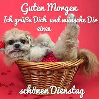 Guten Morgen...