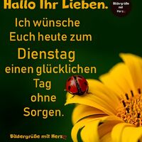 Hallo, ihr Lieben...