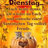 ...Dienstag...