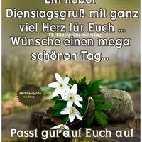 Ein lieber Dienst...