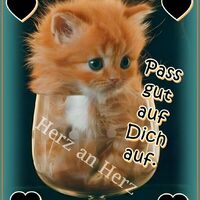 Liebe Grüße von...