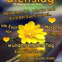 Dienstag - Hallöc...