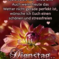 Kuckuck, ihr Lieb...