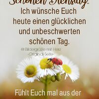 Schönen Dienstag...