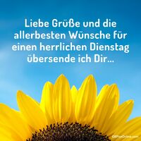 Liebe Grüße und...