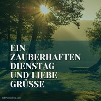 Sonnenstrahlen brechen durch Bäume und tauchen den stillen See in warmes Morgenlicht.