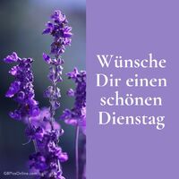 Wünsche Dir einen...
