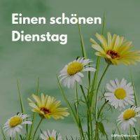 Dienstag