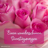 Rosa Rosen mit Text „Einen wunderschönen Dienstagmorgen“ auf einem Schild