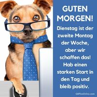 Guten Morgen!...