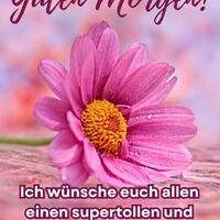 Guten Morgen!...