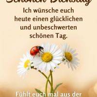 Grußtext „Schönen Dienstag“ über Gänseblümchen mit Marienkäfer; Wunsch nach einem glücklichen, unbeschwerten Tag