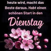Spruch zum Dienstag über dunklem Hintergrund mit rosa Kirschblütenzweig