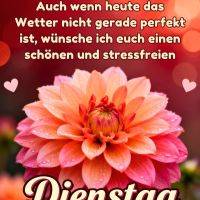 Orange-rosa Blüte mit Wassertropfen vor rotem Bokeh-Hintergrund und Herzsymbolen, dazu Grußtext