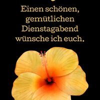 Die Schönheit einer Blüte bei Dämmerung, sanft und einladend.