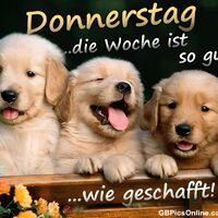 Donnerstag ..die...