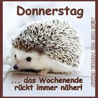 Donnerstag...